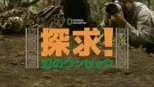 thumbnail - 探求！幻のウンピョウ