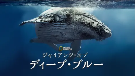 thumbnail - ジャイアンツ・オブ・ディープ・ブルー