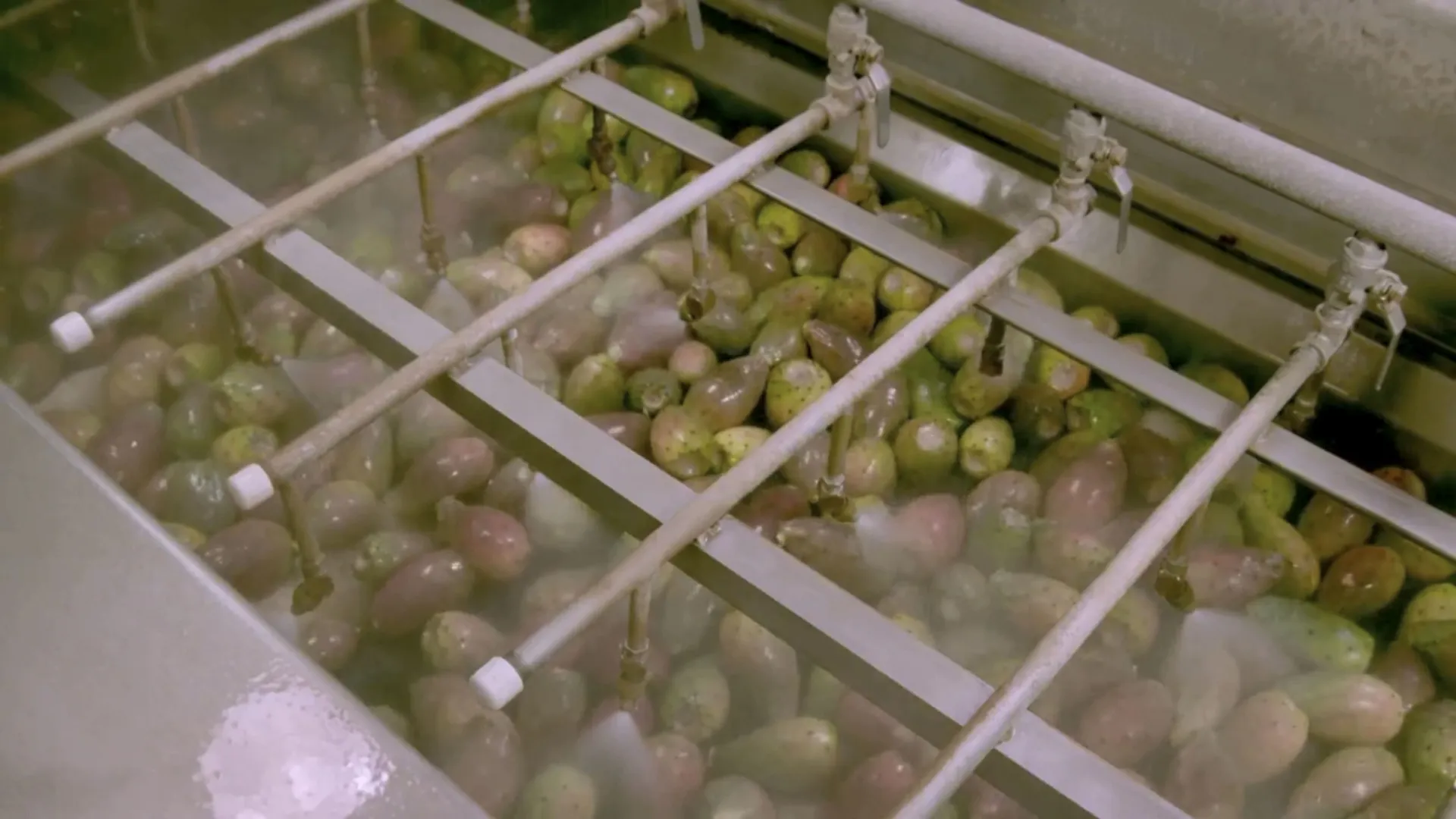 thumbnail - S24:E8 Aerospace Fasteners, Cactus Pear Puree and Lab Reactors