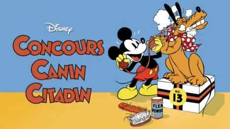 thumbnail - Concours canin citadin