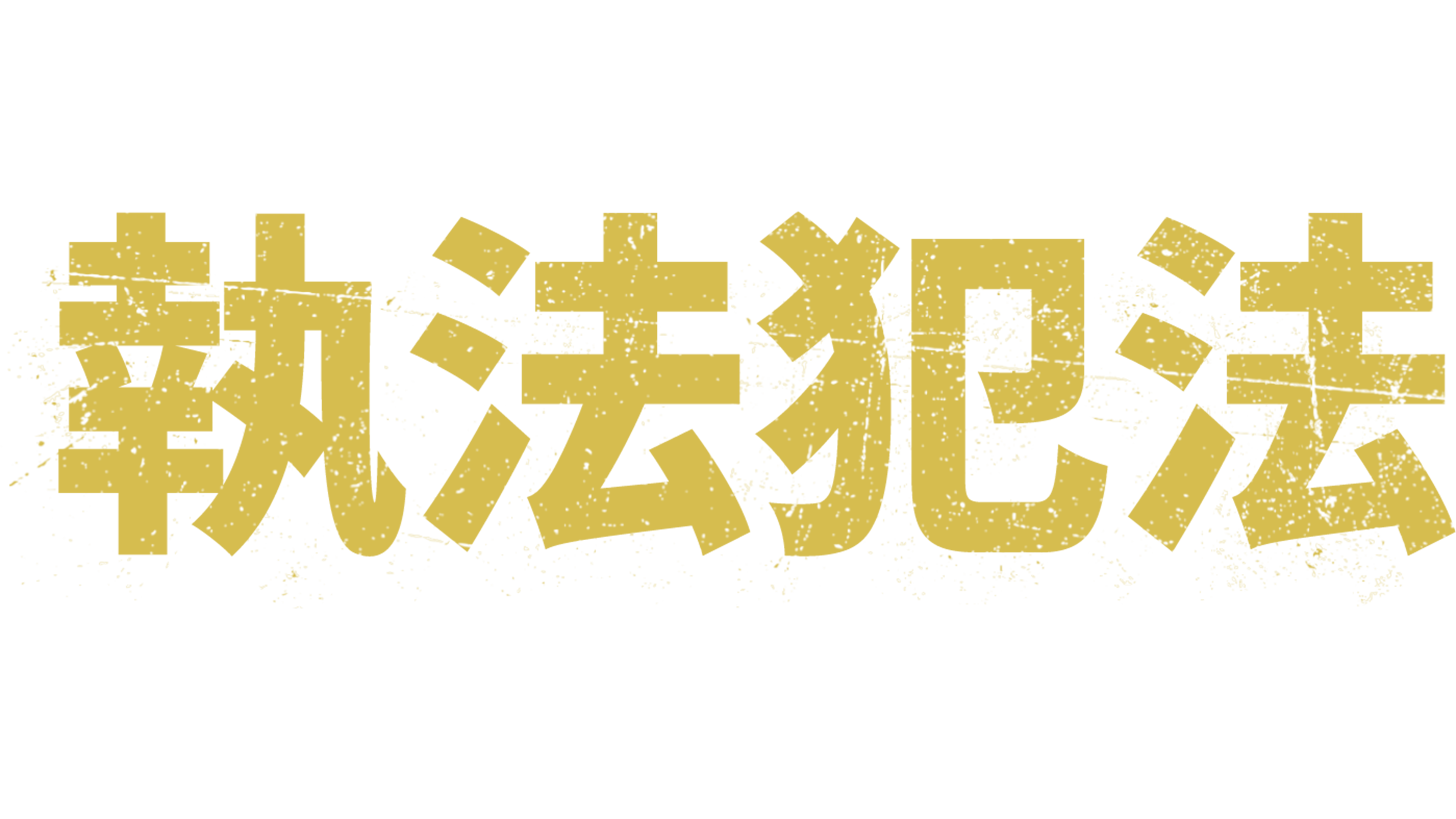 執法犯法