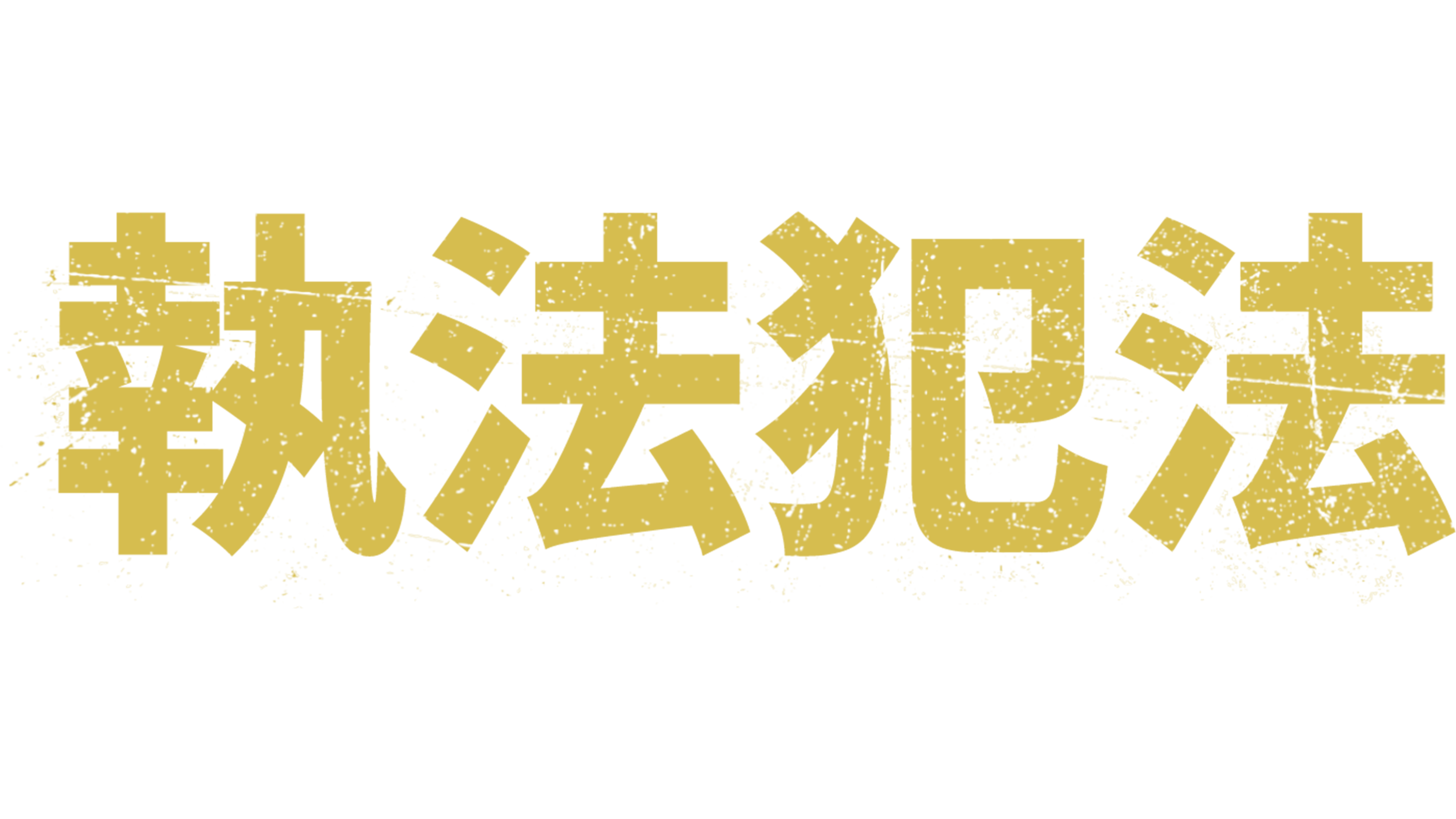 執法犯法