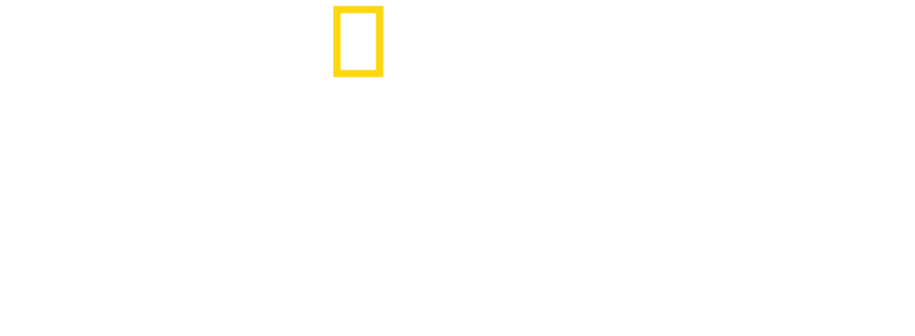 失落岛之鲨