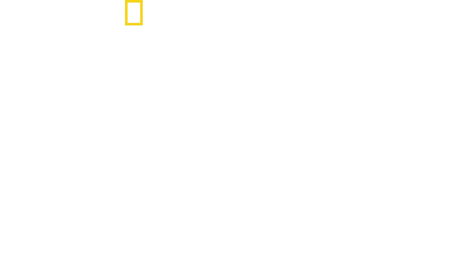 Øjenvidne: D-dag