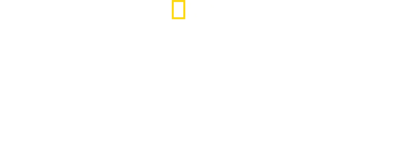 Milagroso aterrizaje en el Hudson