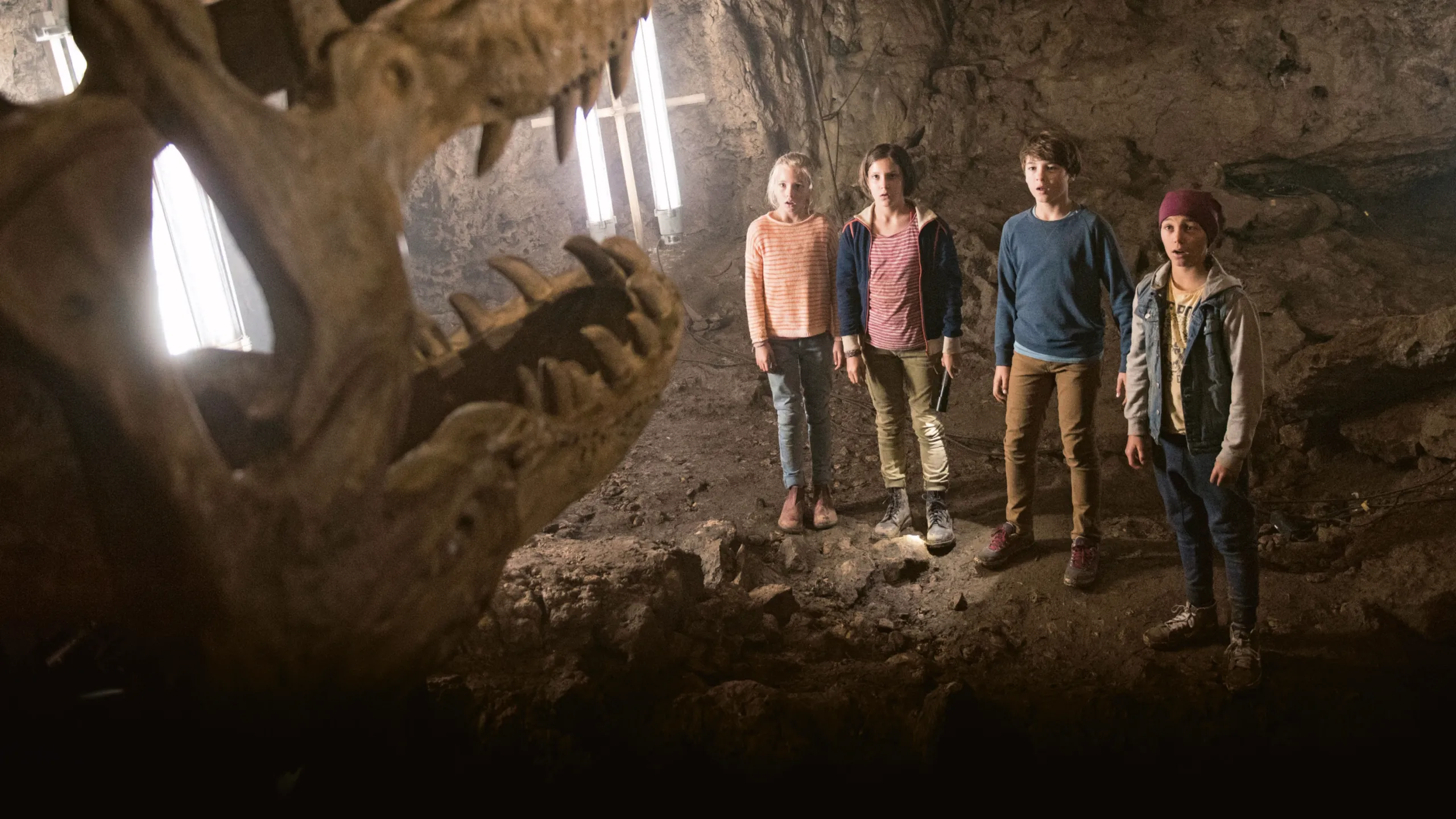 Fünf Freunde und das Tal der Dinosaurier