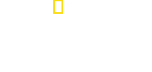 Amsterdam Centraal: Stanica, ktorá nespí