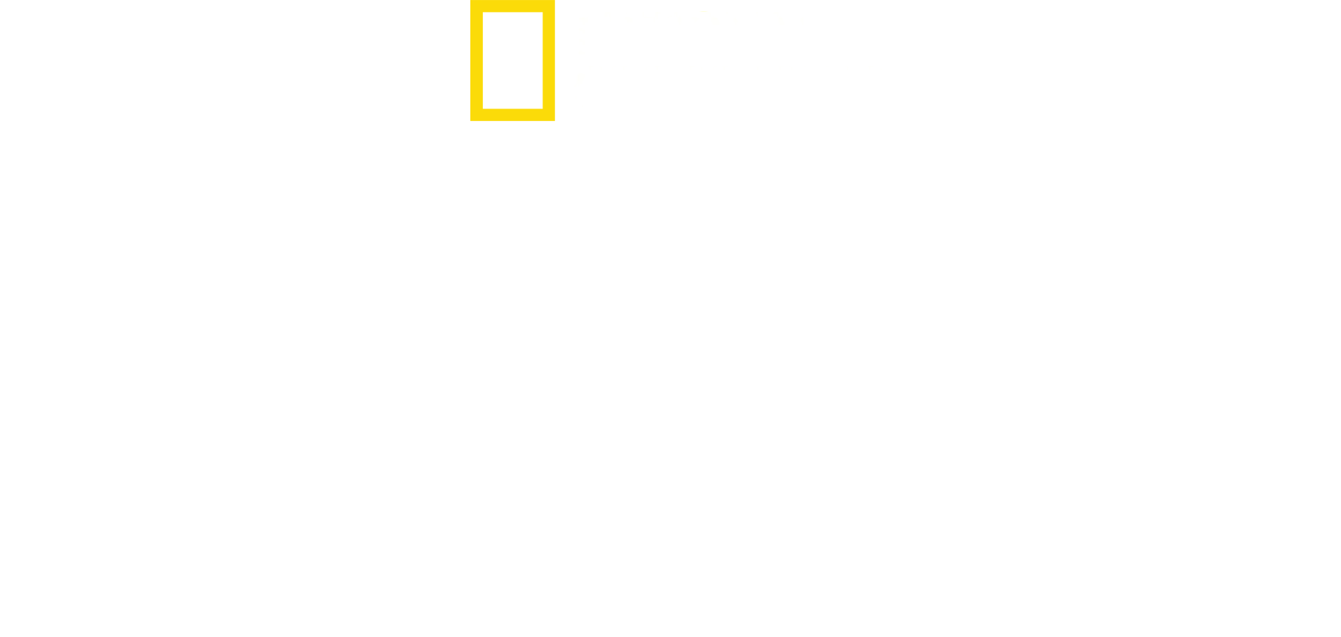 Amsterdam Centraal: Stanica, ktorá nespí