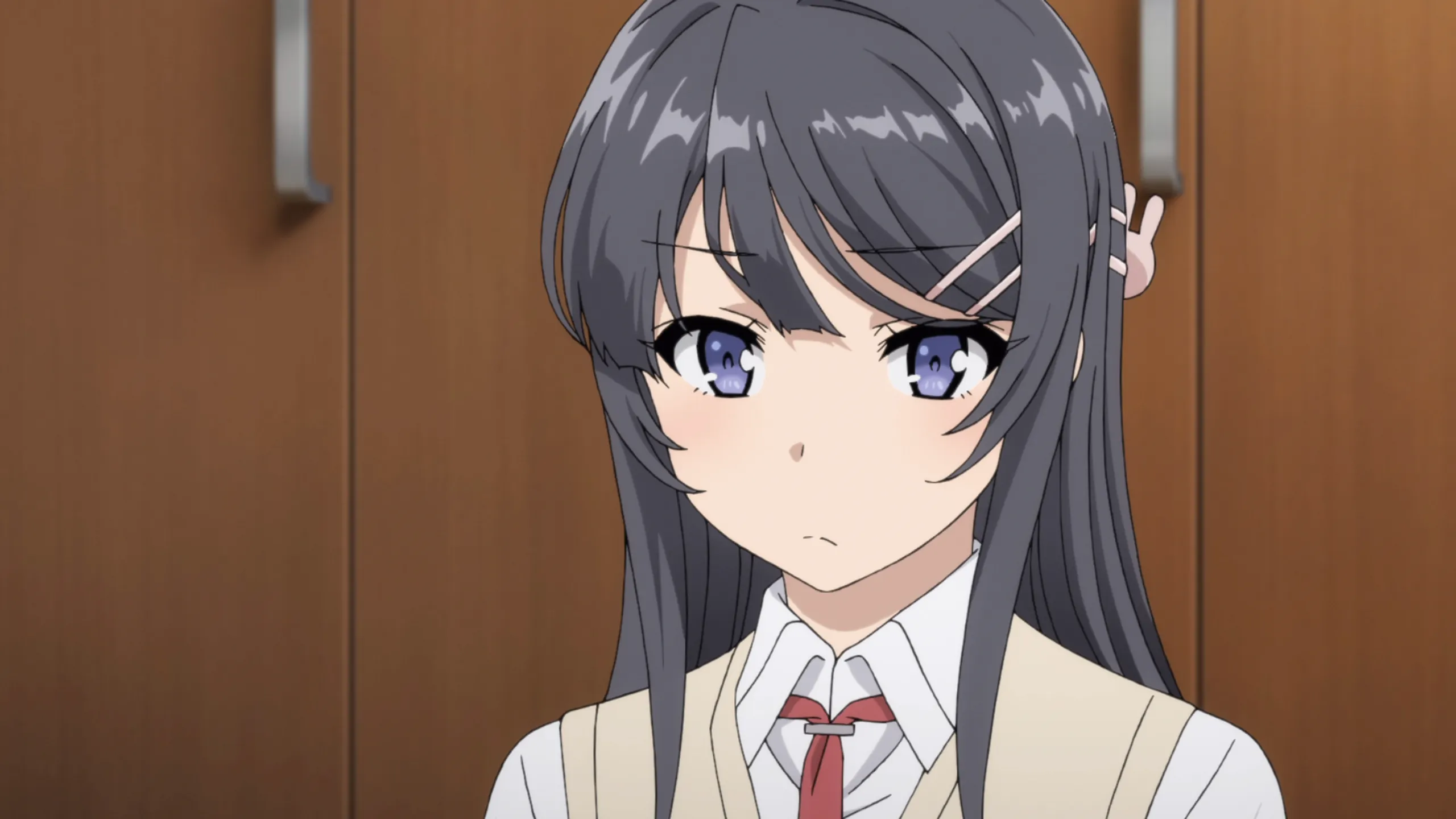 Rascal Does Not Dream of Bunny Girl Senpai