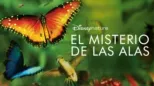 thumbnail - El misterio de las alas