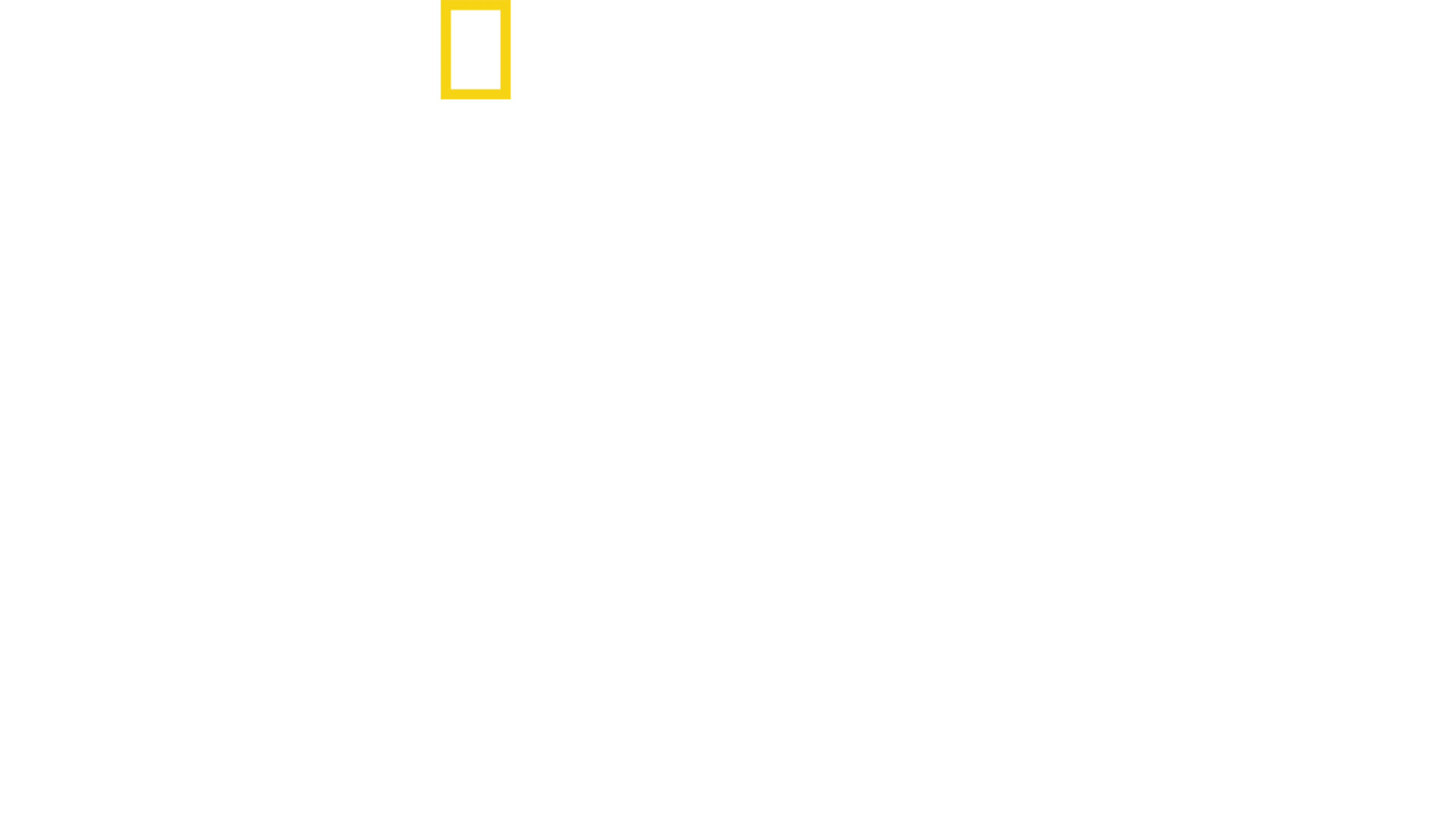 捕食者の最終兵器