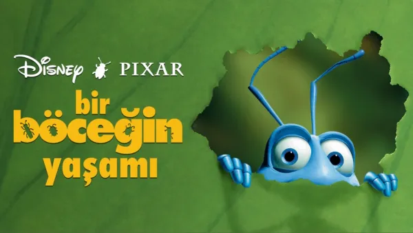 thumbnail - Bir Böceğin Yaşamı