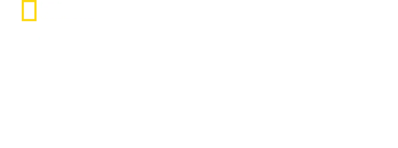 オリジンズ：常識を変えた人類史