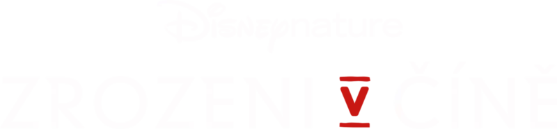 Zrozeni v Číně
