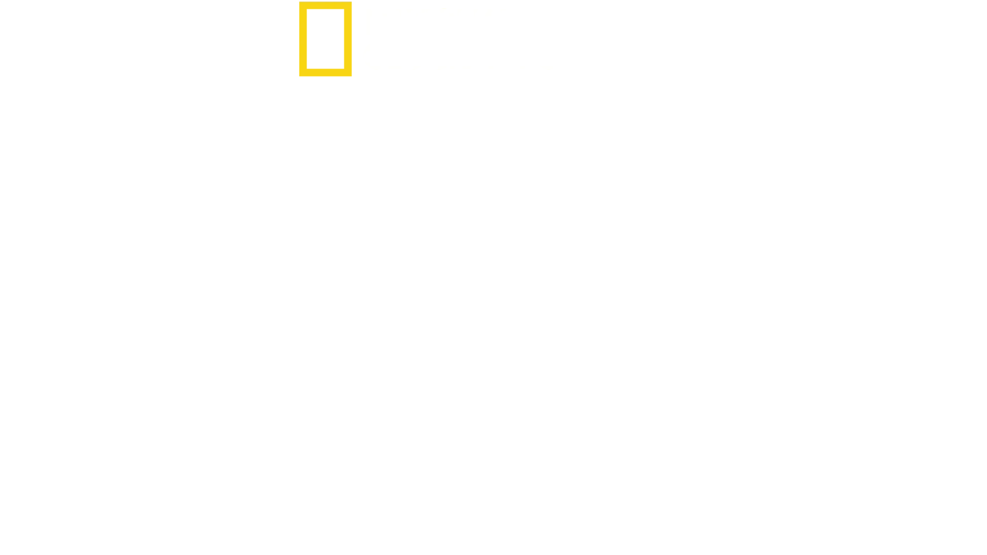 大胆接近！サメガールズとタイガーシャーク
