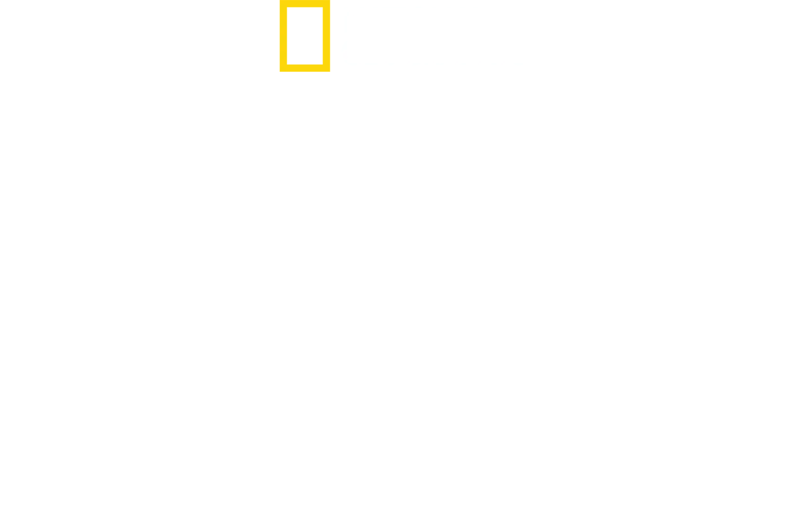 大胆接近！サメガールズとタイガーシャーク