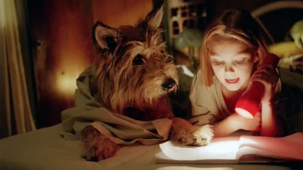 Because of Winn-Dixie