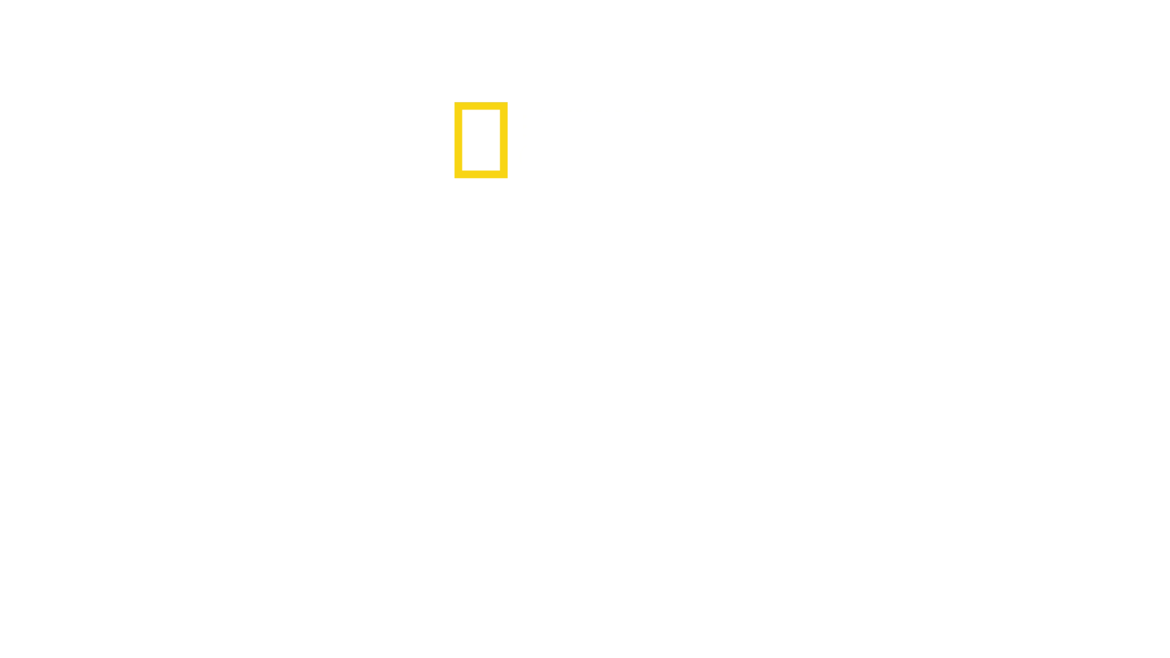 Sekretne życie żarłaczy