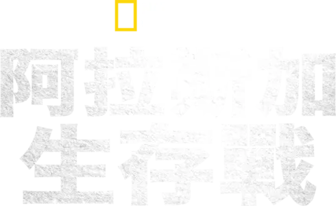 阿拉斯加生存戰