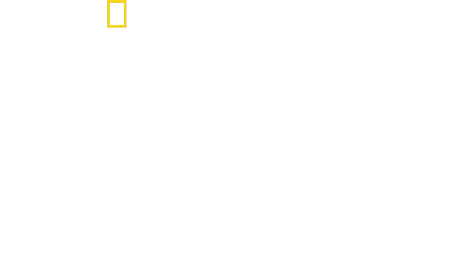 Shark Attack Files