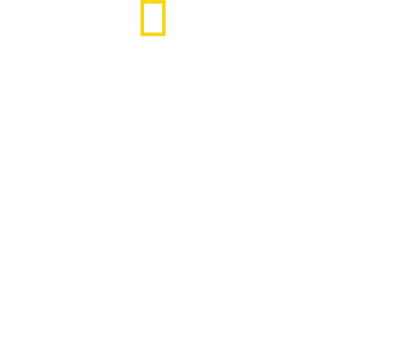 Shark Attack Files