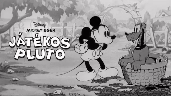 thumbnail - Játékos Pluto