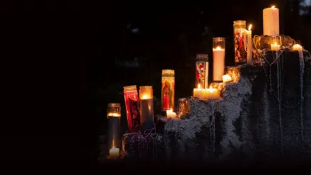 Cryptid: The Swamp Beast