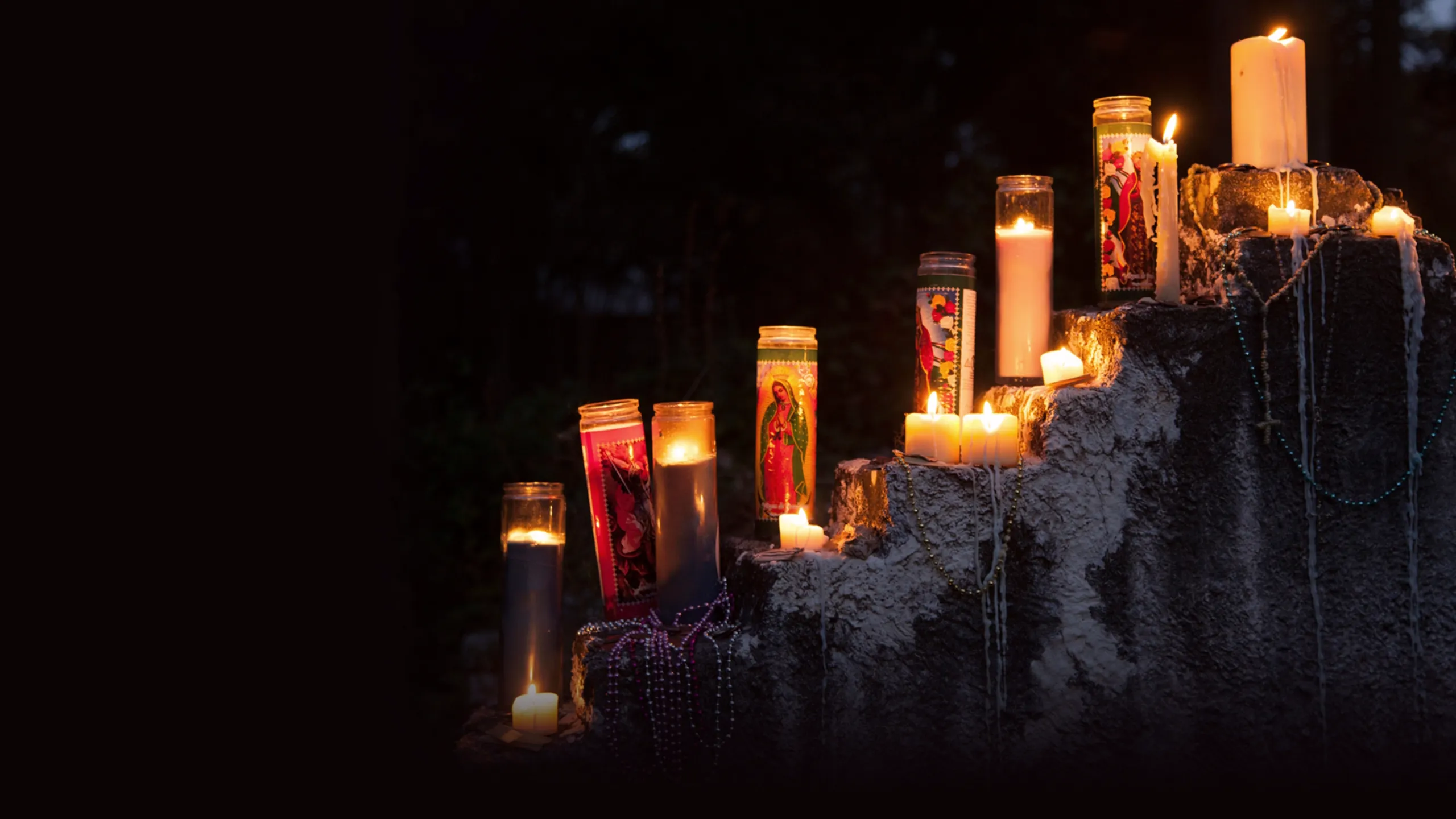 Cryptid: The Swamp Beast