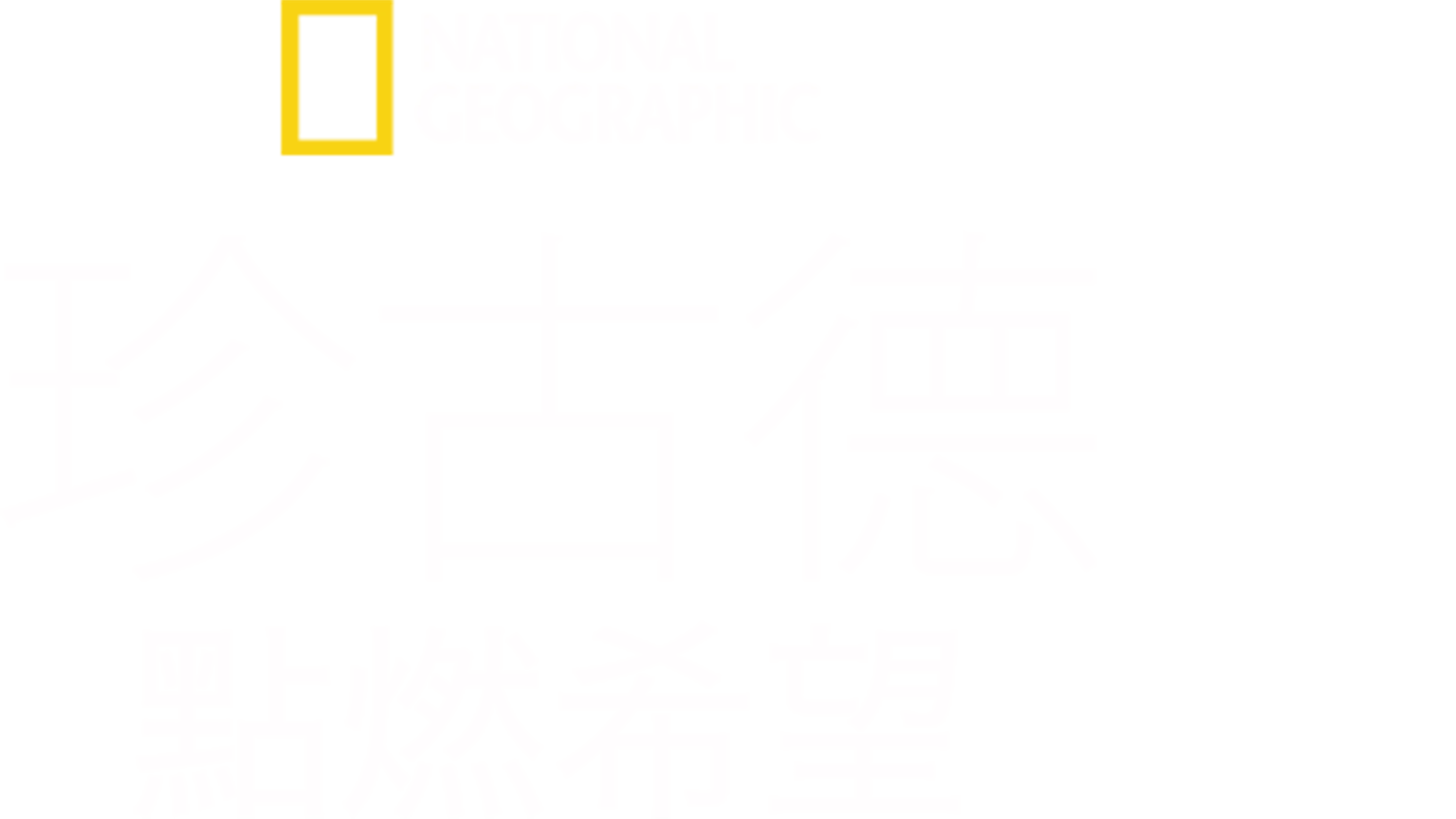 珍古德：點燃希望