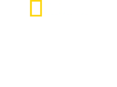 珍古德：點燃希望