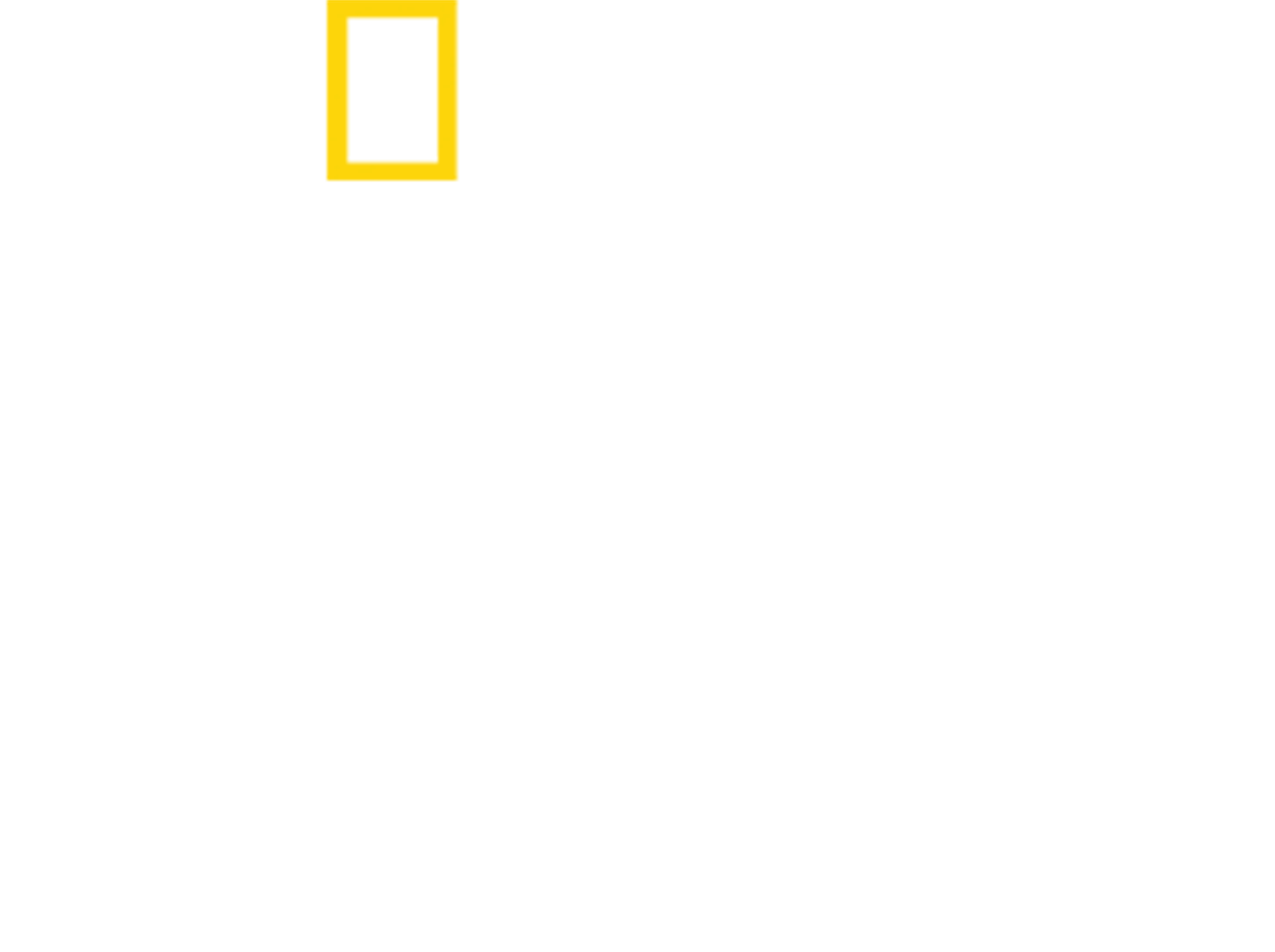 珍古德：點燃希望