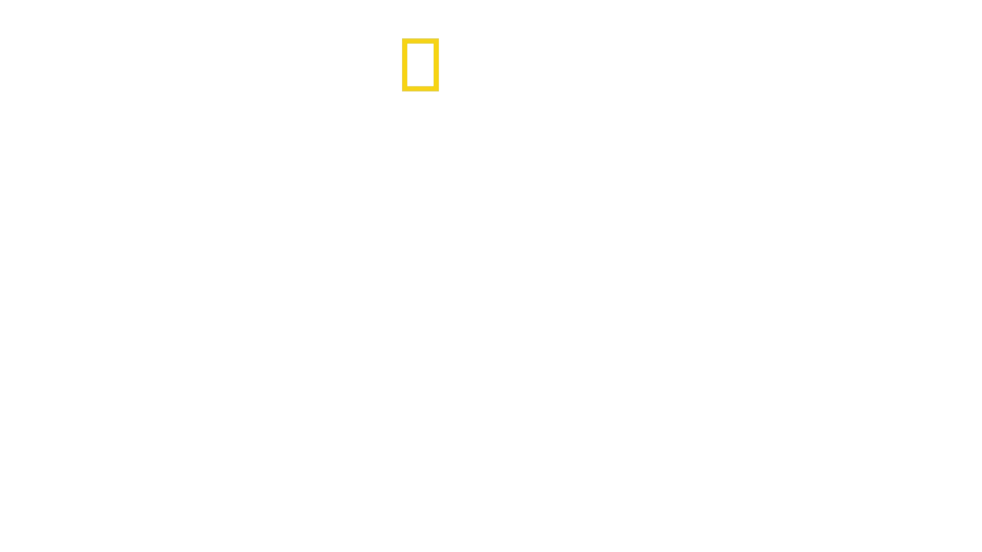 Altædende hajer
