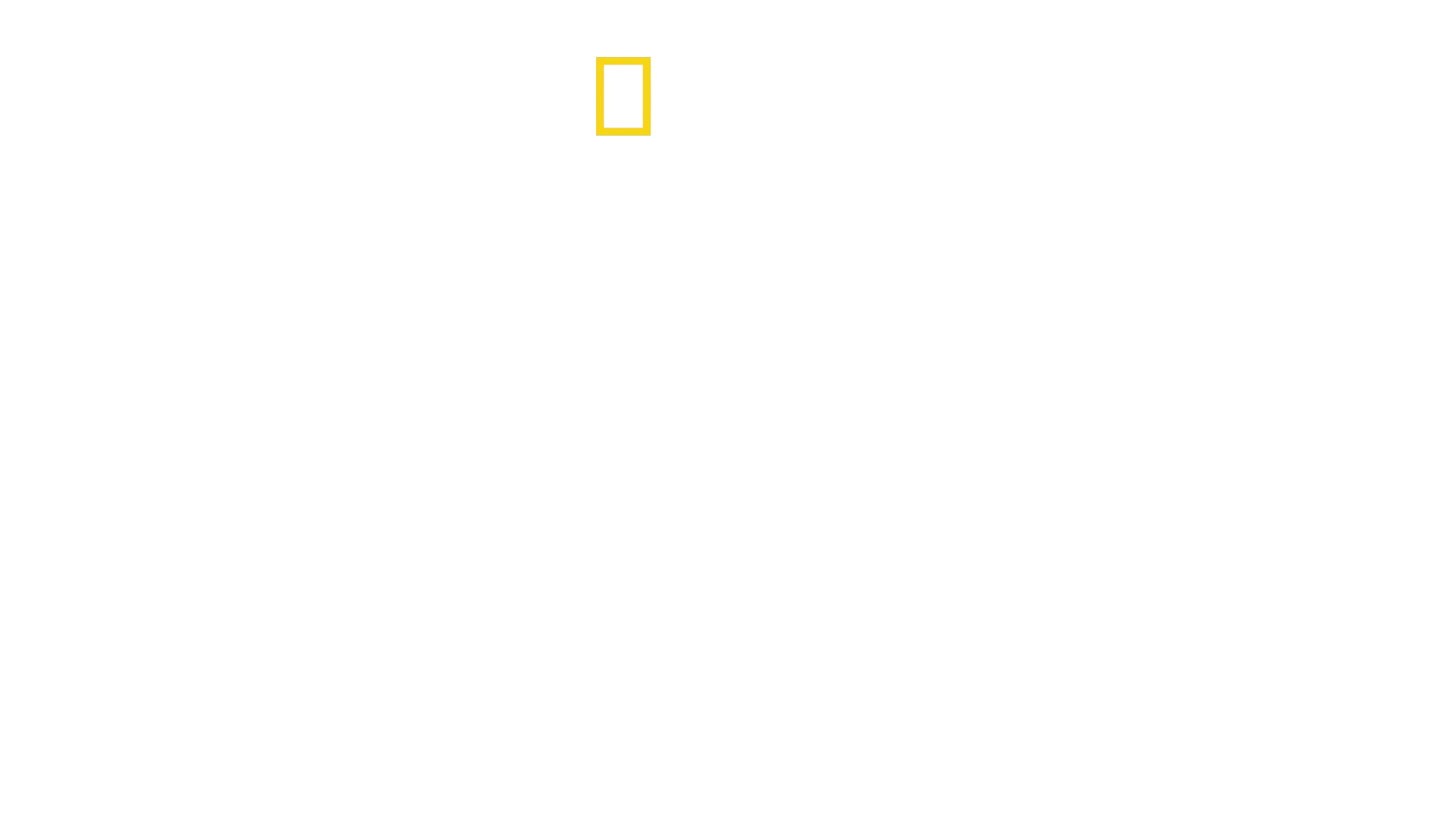 Altædende hajer