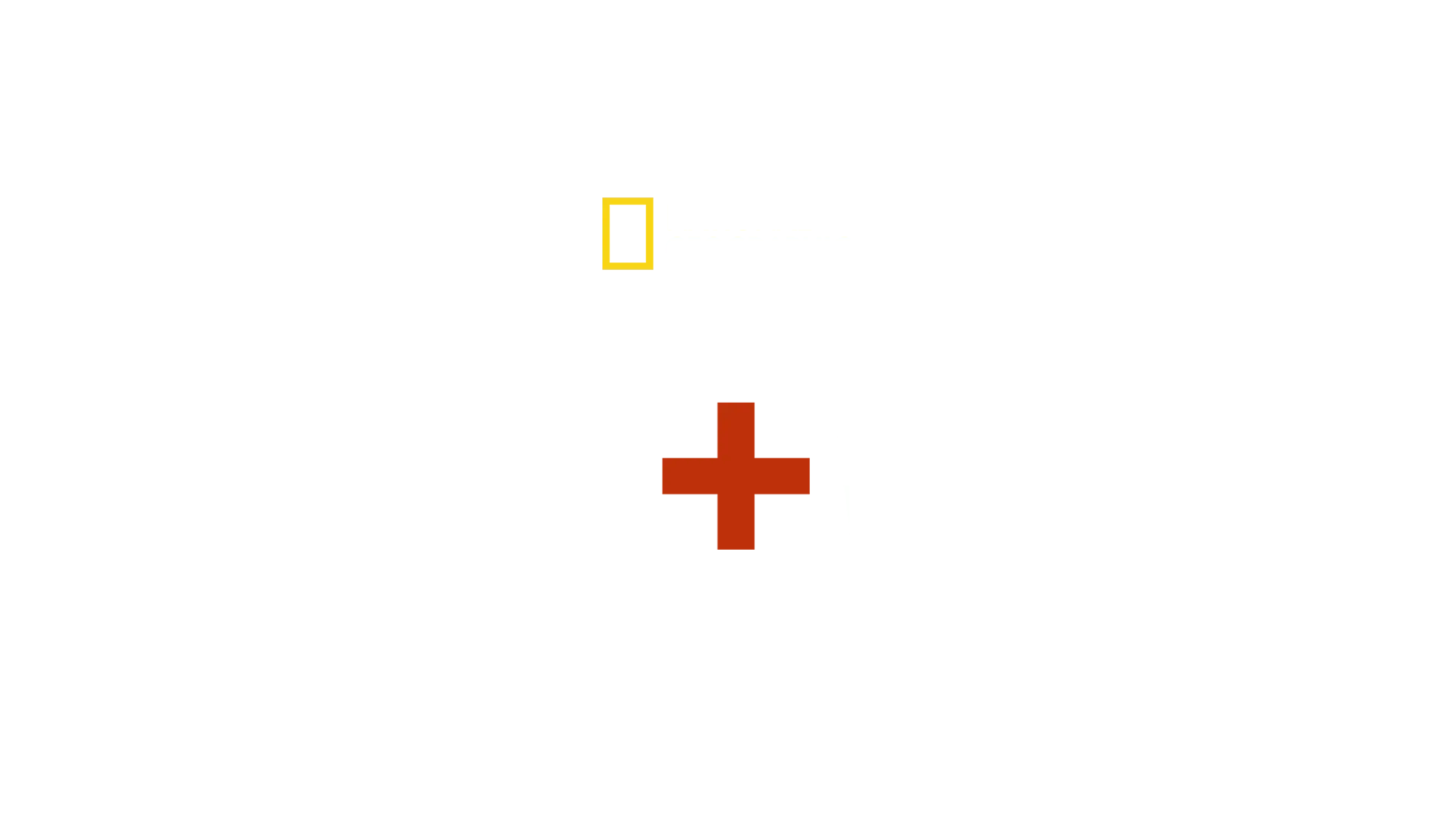 Láska+válka