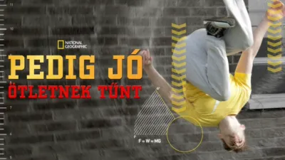 Pedig jó ötletnek tűnt