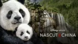 thumbnail - Născut în China