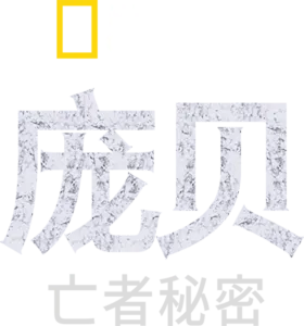 庞贝：亡者秘密