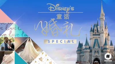 迪士尼童话婚礼