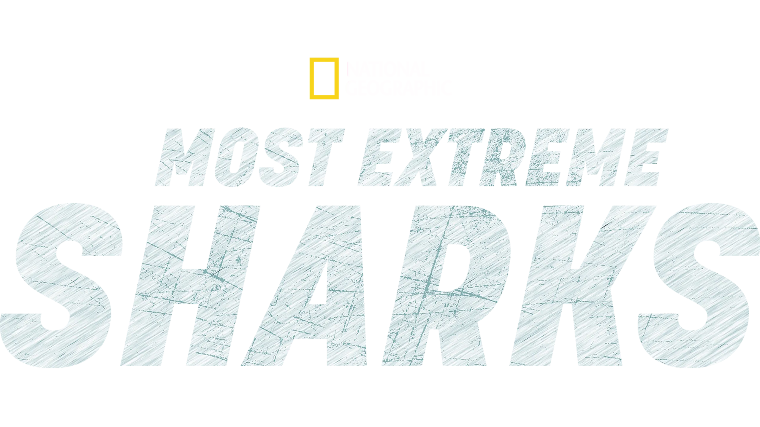 Most Extreme Sharks