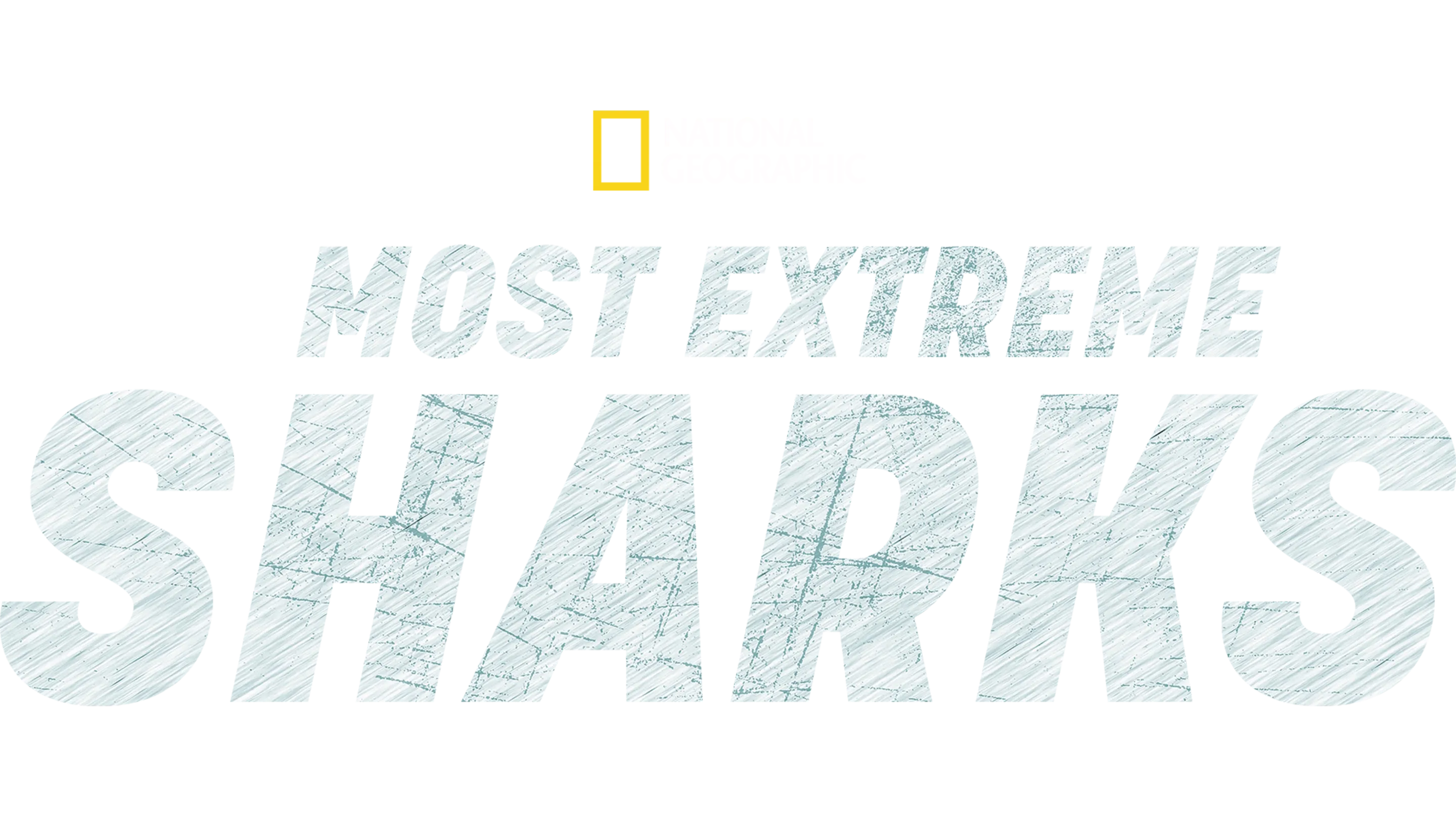 Most Extreme Sharks