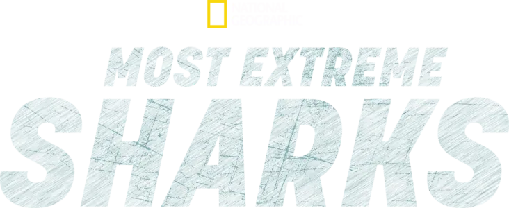 Most Extreme Sharks