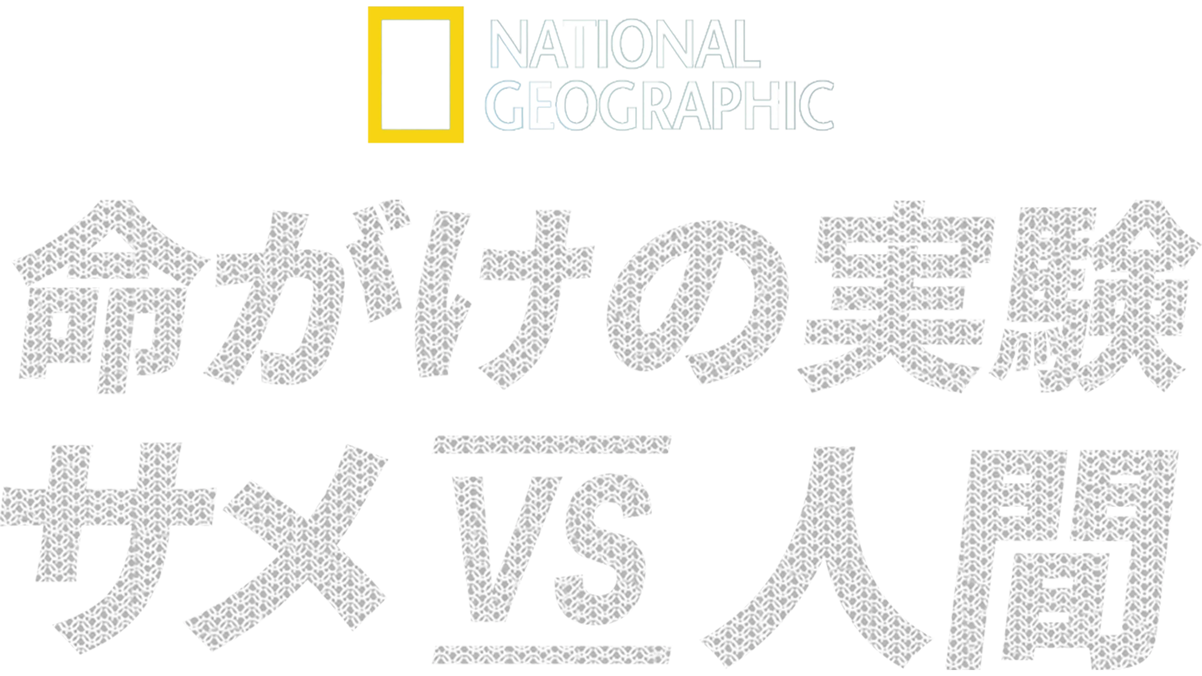 命がけの実験：サメ vs 人間