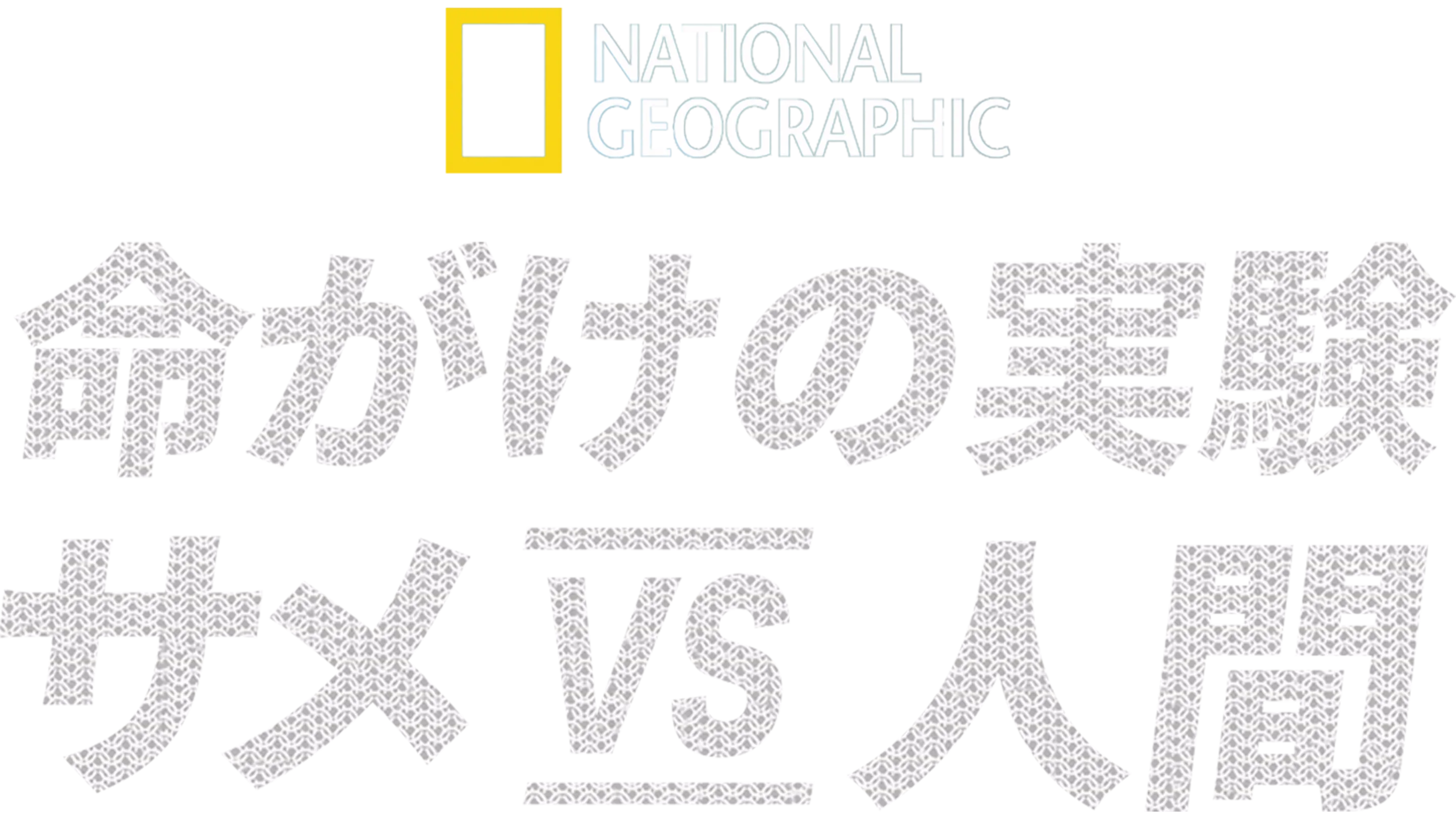 命がけの実験：サメ vs 人間