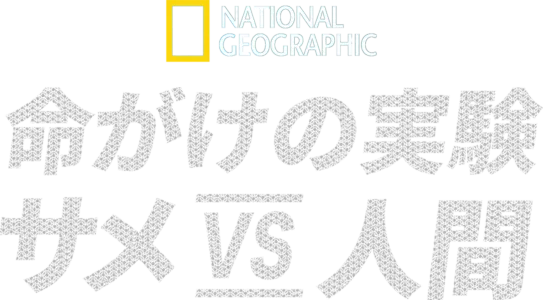 命がけの実験：サメ vs 人間