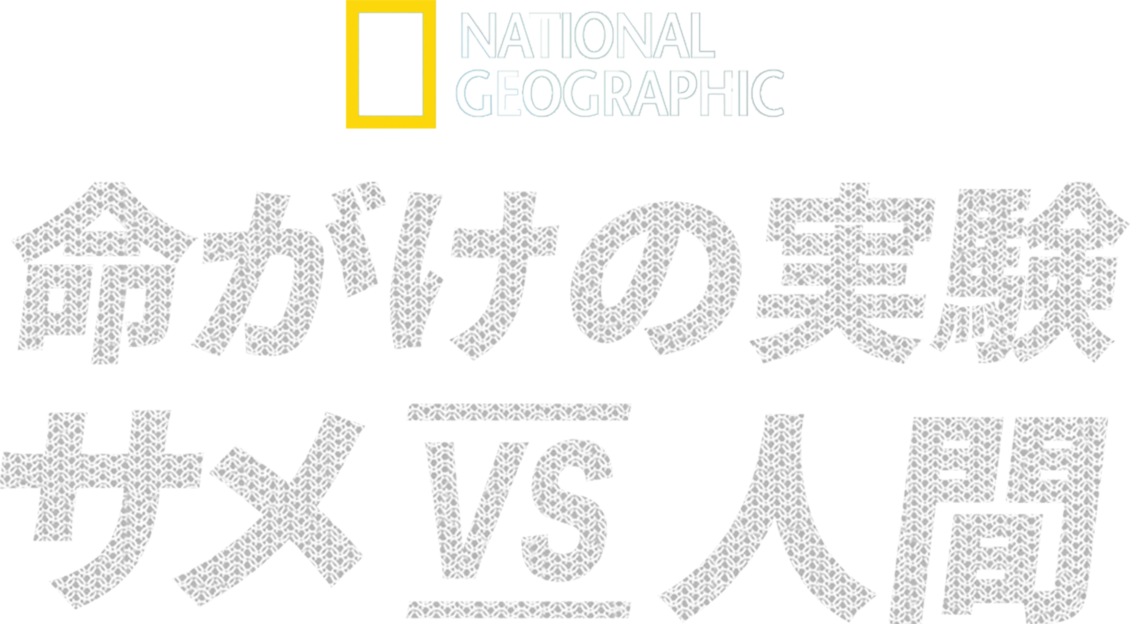 命がけの実験：サメ vs 人間