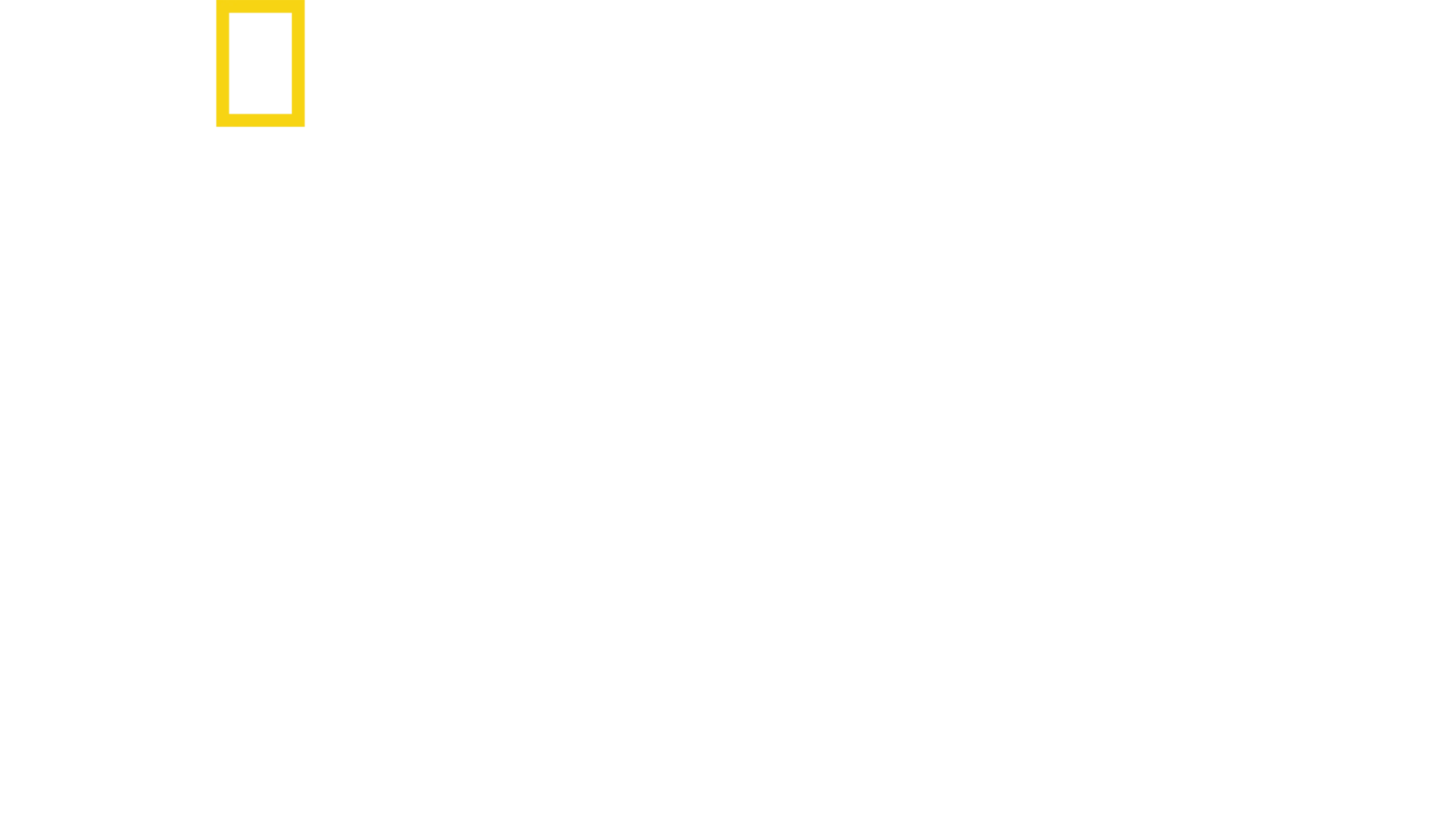 虎鲸vs.大白鲨