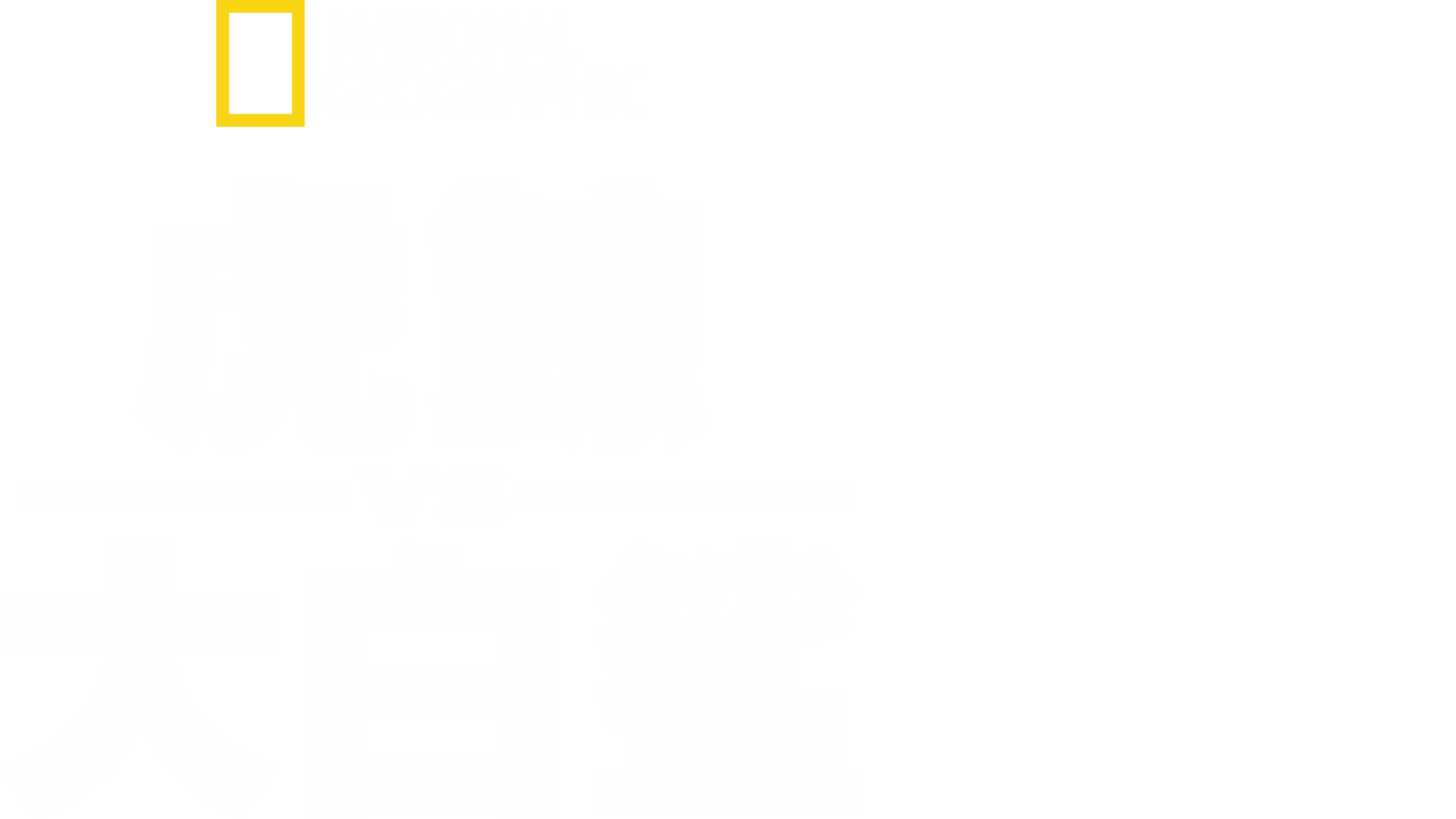 虎鲸vs.大白鲨