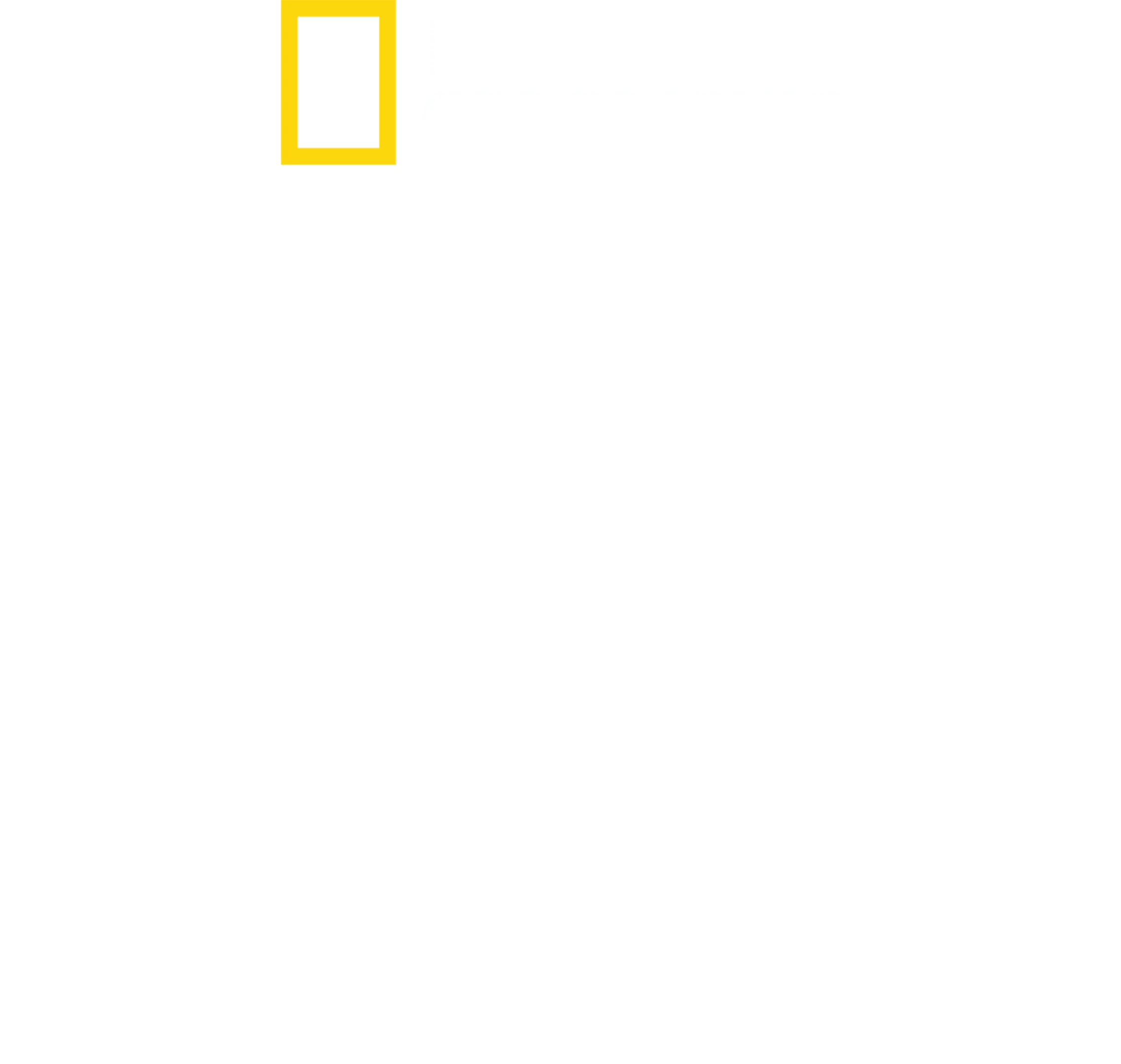 虎鲸vs.大白鲨