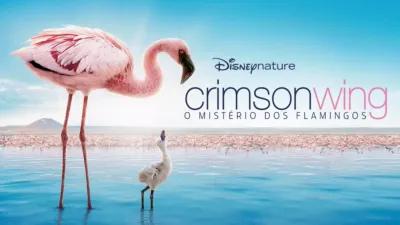 thumbnail - Crimson Wing: O Mistério dos Flamingos