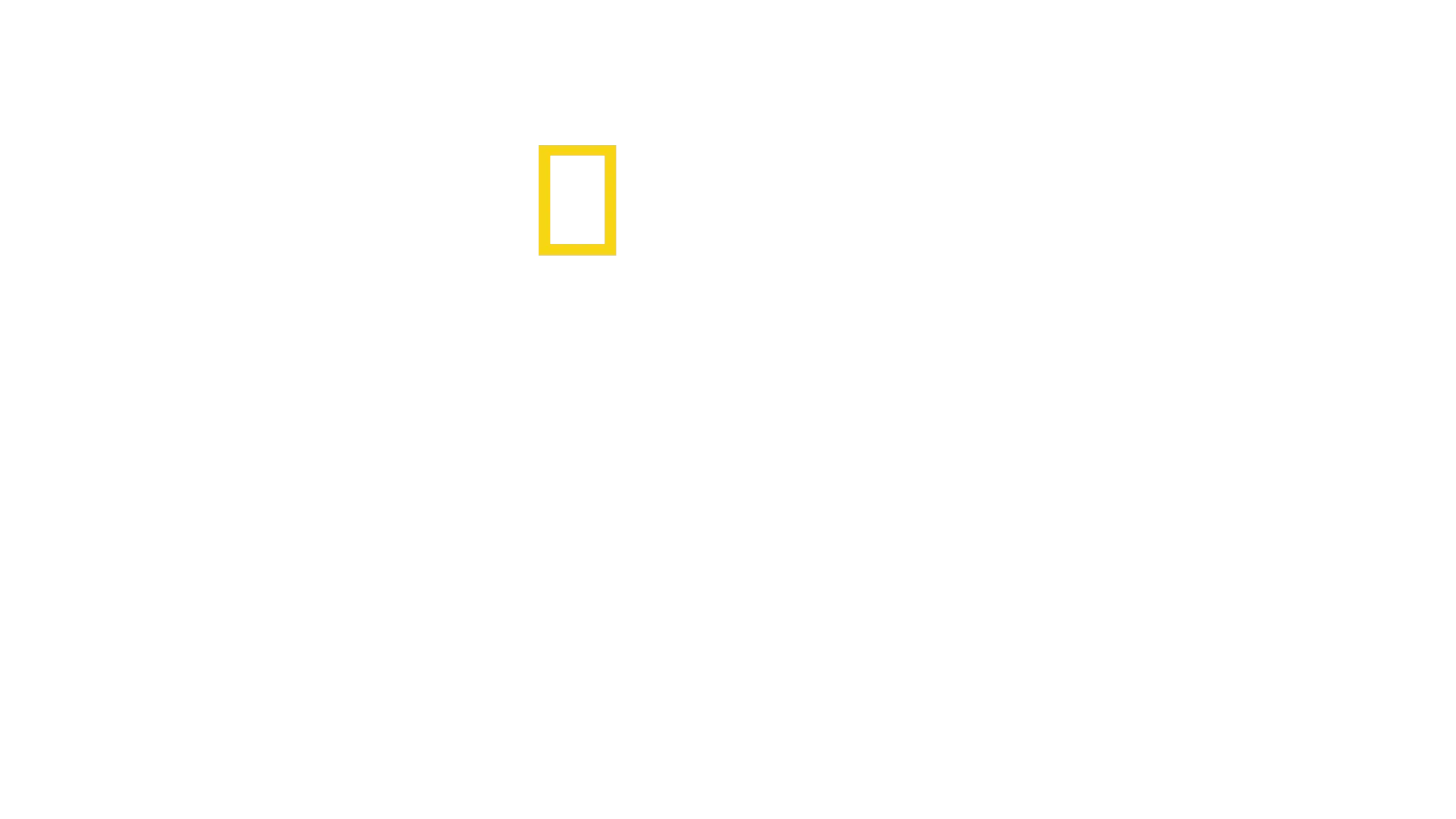Limitless: Live Better Now